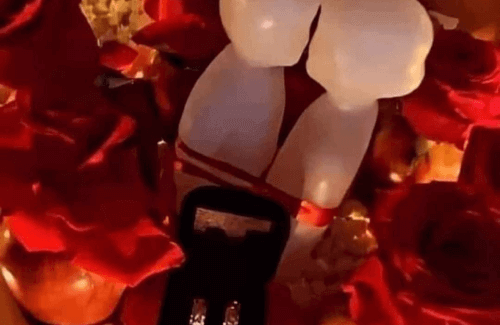 Unión de parejas  ALEXANDER